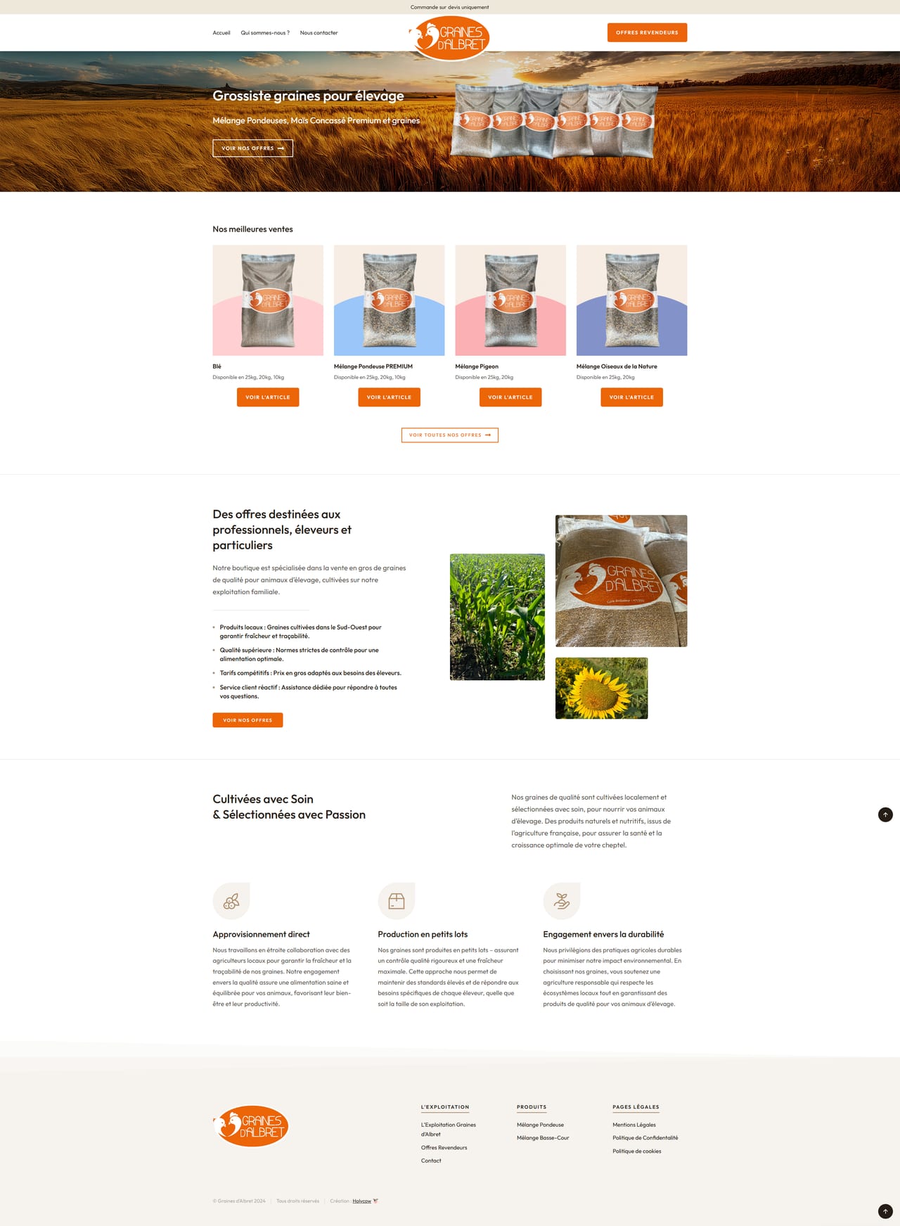 graines d'albret - visuel 1
